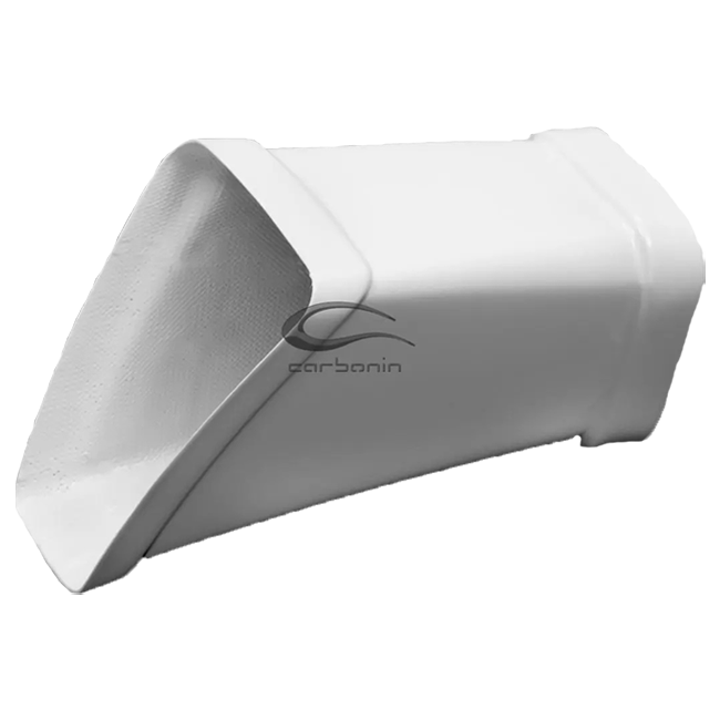 Luftkanal Avio Fiber Carbonin BMW S1000RR K67 (19-22) B4066AF