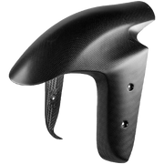 Vorderer Kotflügel Carbon LighTech Ducati Panigale V4/S/R (25-26) CARD2410M