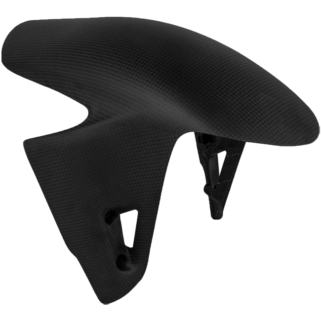 Vorderer Kotflügel Carbon LighTech Ducati Panigale V4/S/R (18-24) CARD0810