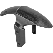 Vorderer Kotflügel Carbon LighTech Kawasaki ZX-10 R (11-15) CARK9610