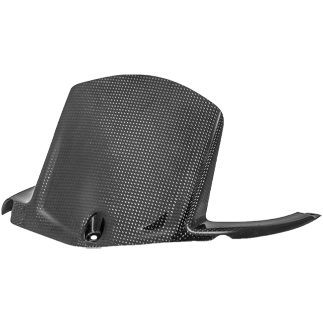 Hinterer Kotflügel Carbon LighTech Kawasaki ZX-10 R/RR (11-26) CARK9620