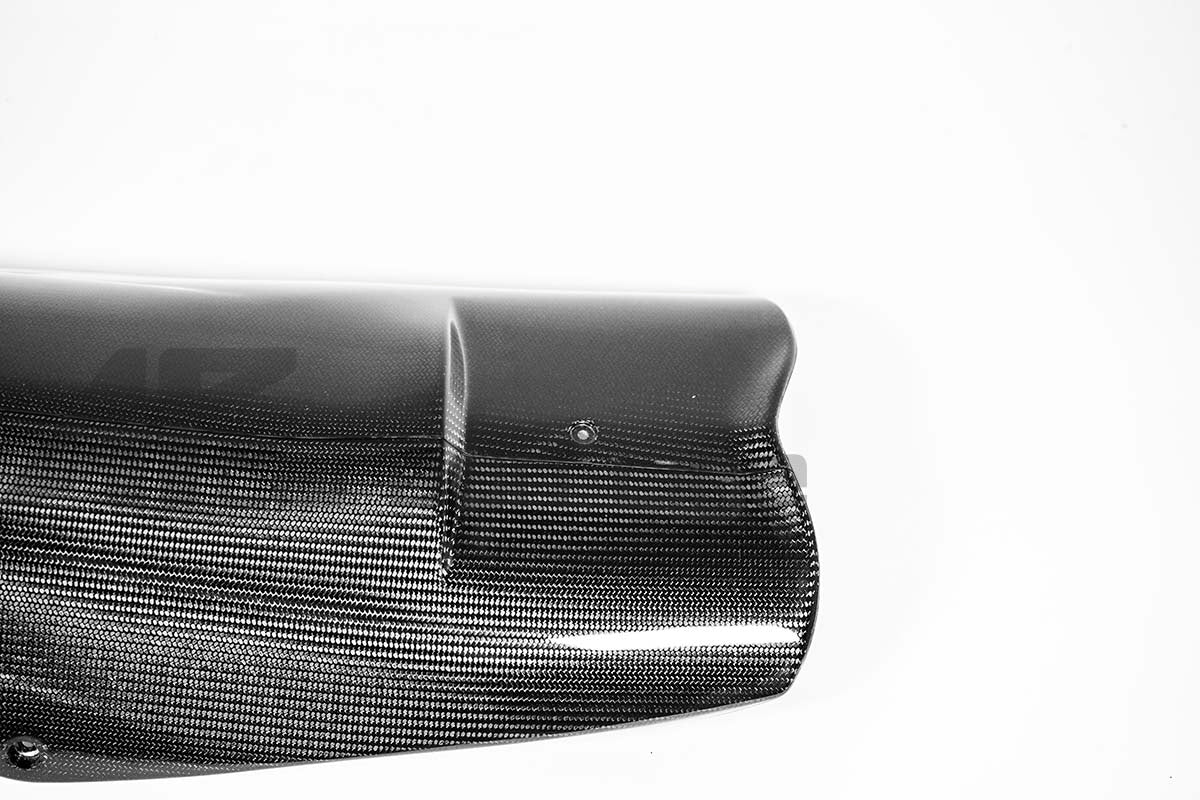 Bugspoiler 200g AP Carbon Line Aprilia RSV4/RR/1100 Factory (21-26)