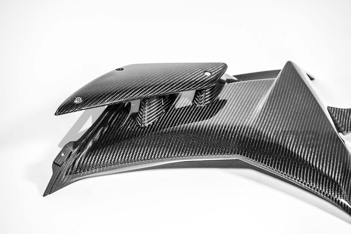 Seitenteil links 200g AP Carbon Line Aprilia RSV4/RR/1100 Factory (21-26)