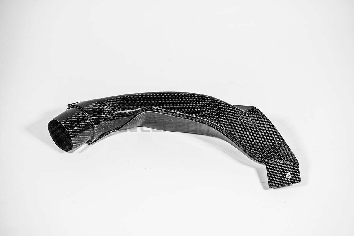 Luftkanäle 200g AP Carbon Line Aprilia RSV4/RR/1100 Factory (21-25)
