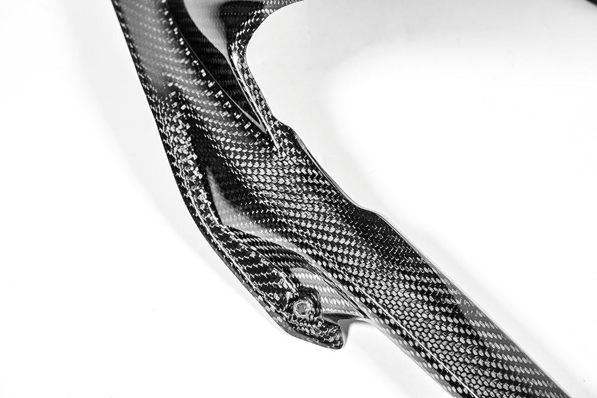 Hinterer Kotflügel 200g AP Carbon Line Ducati Panigale V4/S/R (25-26)