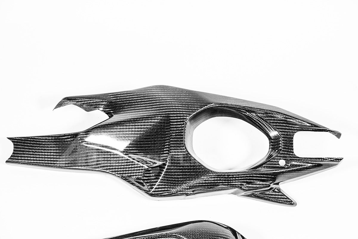 Schwingenabdeckungen 200g AP Carbon Line Ducati Panigale V4/S/R (25-26)