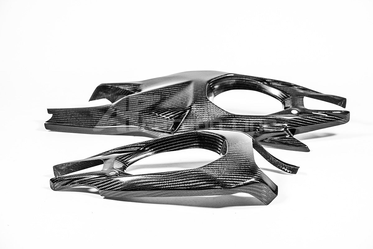 Schwingenabdeckungen 200g AP Carbon Line Ducati Panigale V4/S/R (25-26)