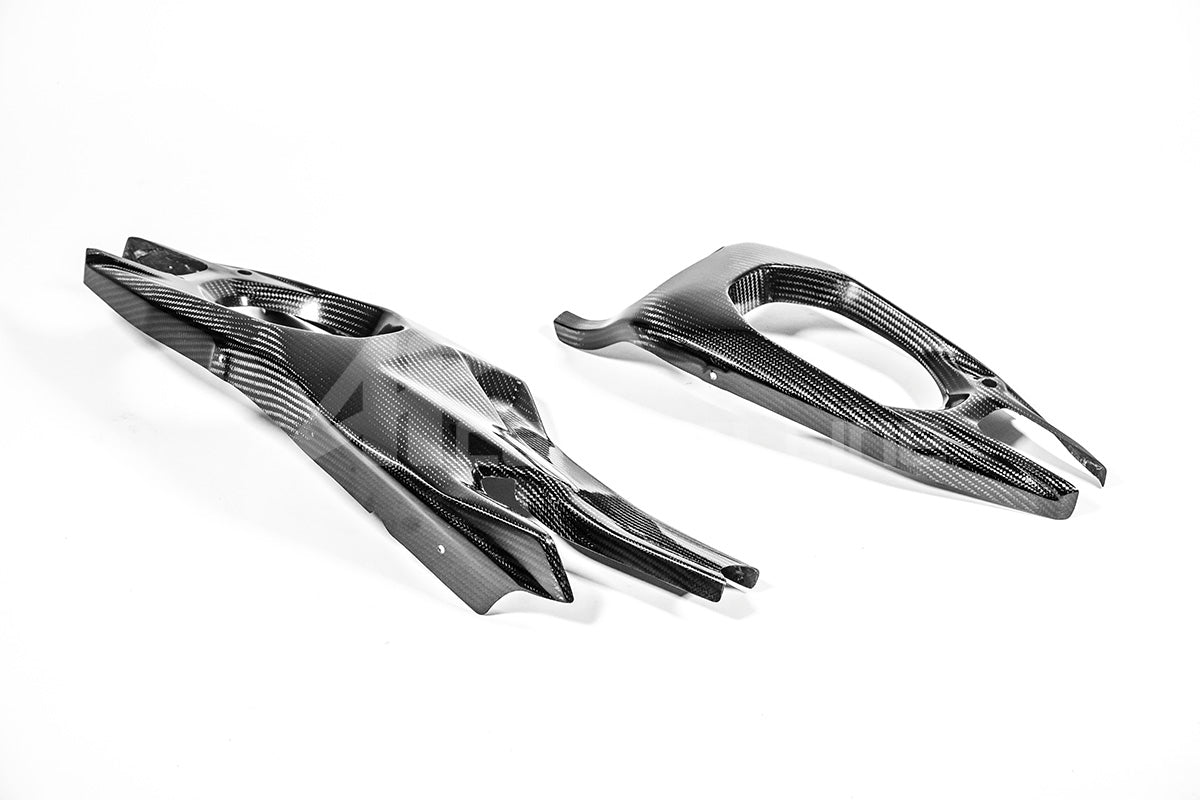 Schwingenabdeckungen 200g AP Carbon Line Ducati Panigale V4/S/R (25-26)