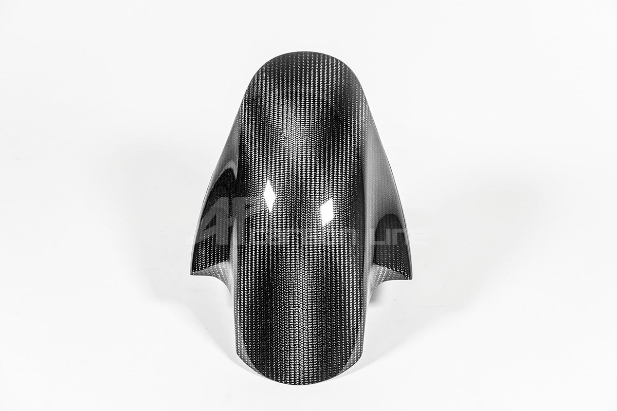 Vorderer Kotflügel 200g AP Carbon Line Ducati Panigale V4/S/R (25-26)