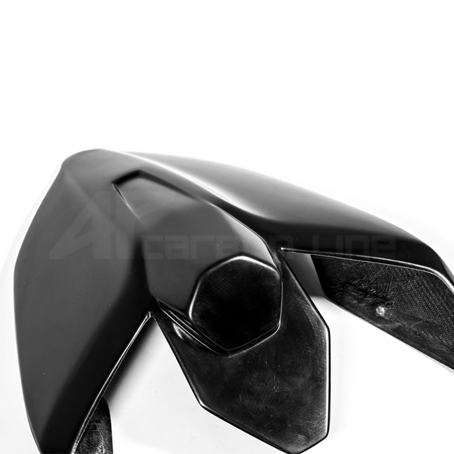 Heckverkleidung Lavatex AP Carbon Line Ducati Panigale V4/S/R (25-26)