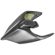 Heckverkleidung Carbon PlasticBike Ducati Panigale V2 955 (20-24)