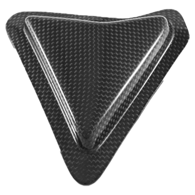Slider Schwingenschutz Carbon Fullsix Ducati Panigale V2 955 (20-24)