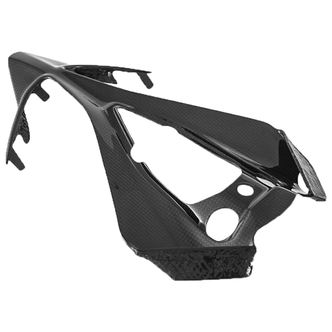 Heck Unterteil Carbon Fullsix Ducati Panigale 1299/S (15-18)