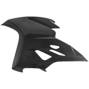 Seitenteil links "RACE" Carbon Fullsix Ducati Panigale 1299/S (15-18)