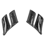 Heck MotoGP Winglets 200g AP Carbon Line Ducati Panigale V4/S/R (25-26)