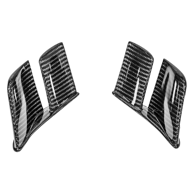 Heck MotoGP Winglets 200g AP Carbon Line Ducati Panigale V4/S/R (25-26)