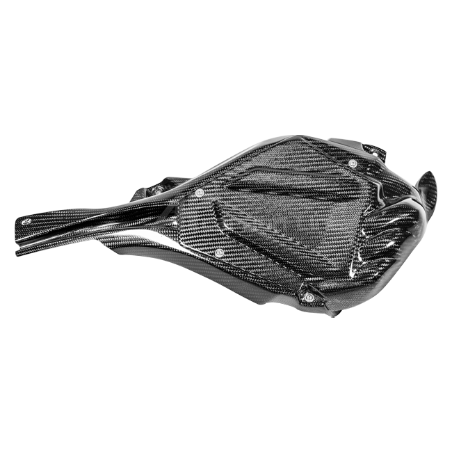 ECU Abdeckung inkl. Kühlkanal 200g AP Carbon Line Yamaha YZF-R1/M RN65 (20-26)