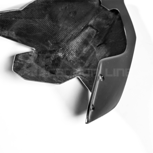 Heckverkleidung Lavatex AP Carbon Line Ducati Panigale V4/S/R (25-26)