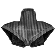SBK Luftkanal 200g AP Carbon Line Ducati Panigale V4/S/R (22-24)