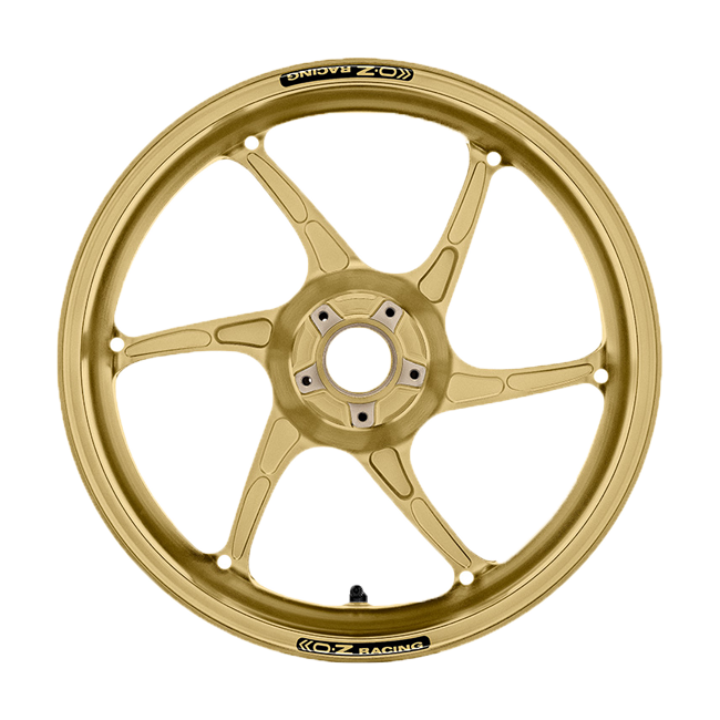 OZ Cattiva Magnesium Hinterradfelge BMW S1000RR K46 mit HP Aufnahme (09-18) C6094BM60X