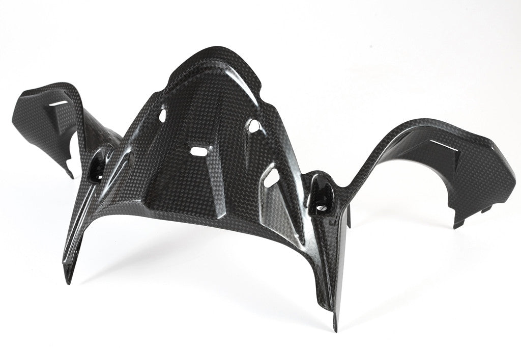 Instrumentenabdeckung Carbon Fullsix Ducati Panigale 1199/R/S (12-17)