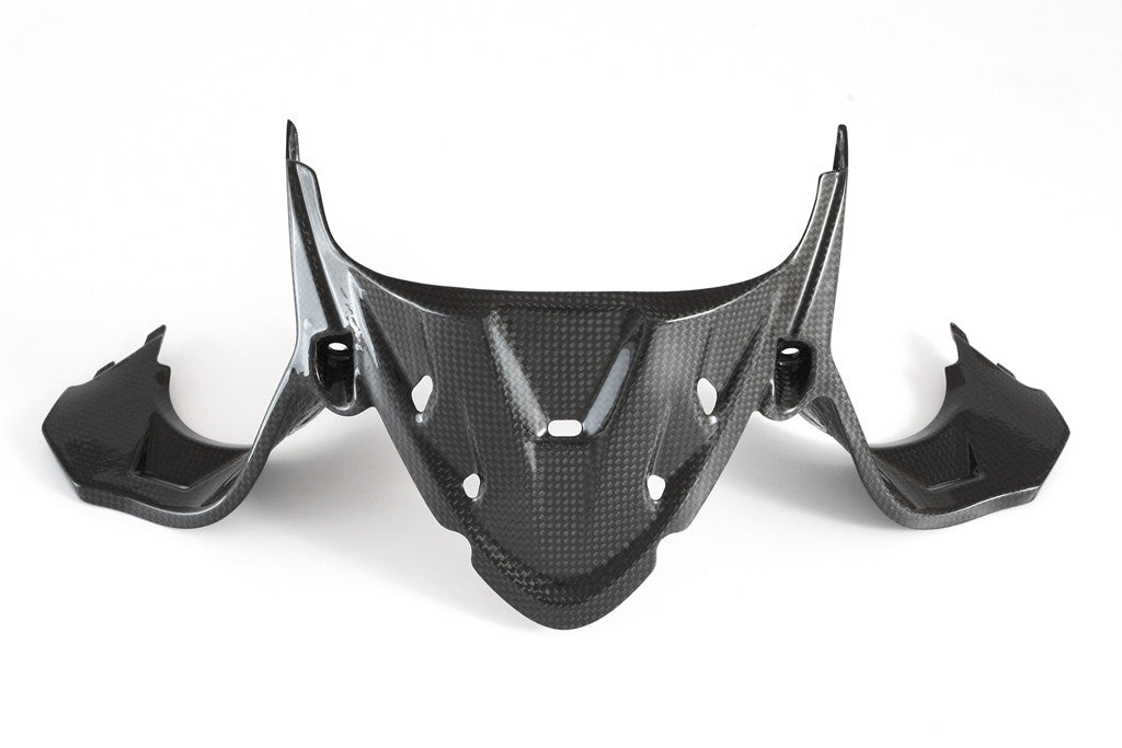 Instrumentenabdeckung Carbon Fullsix Ducati Panigale 1199/R/S (12-17)