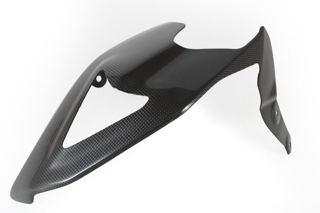 Schwingenabdeckung Carbon Fullsix Ducati Panigale 1199/R/S (12-17)