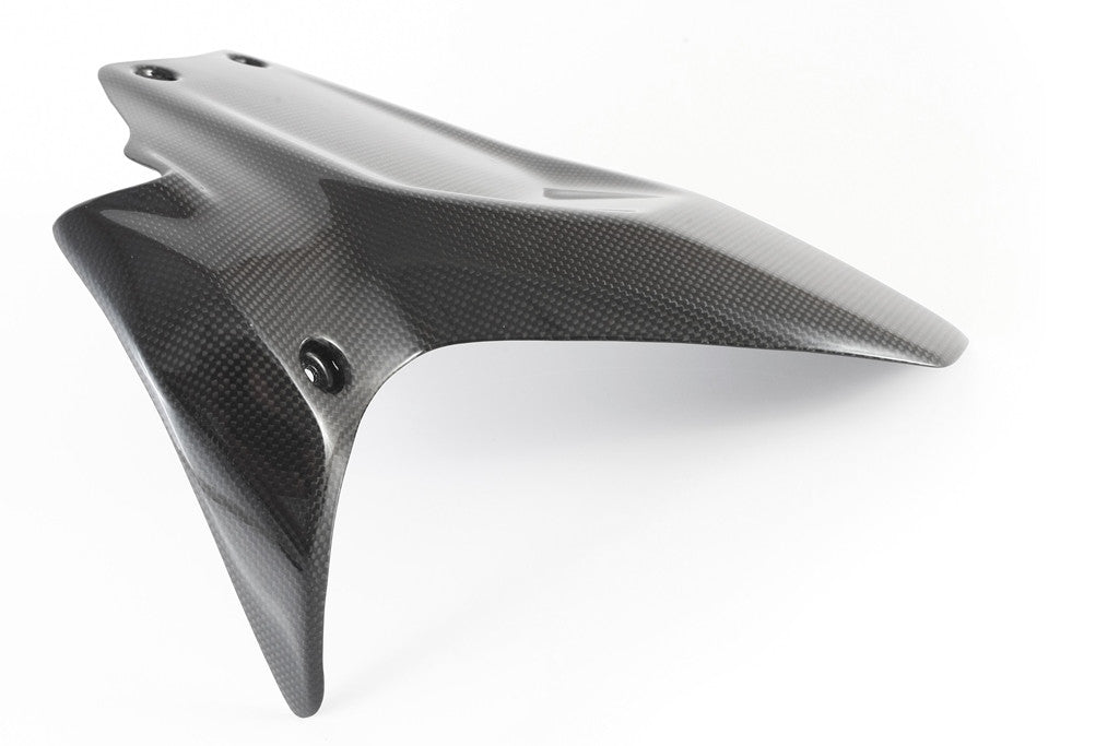 Hinterer Kotflügel Carbon Fullsix Ducati Panigale 1299/S (15-18)