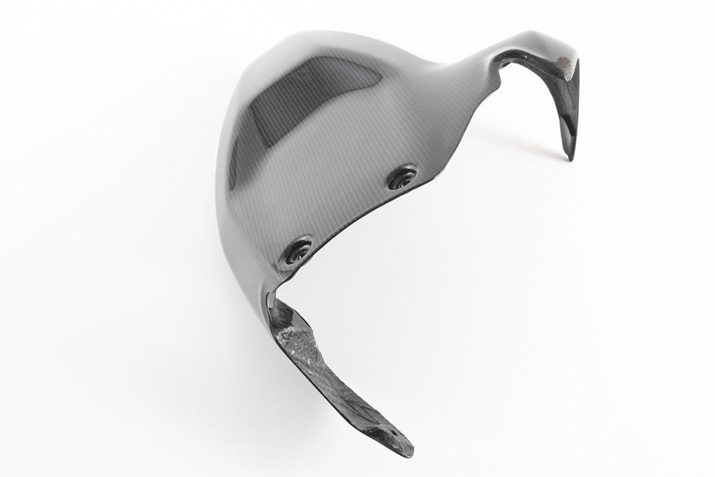 Hinterer Kotflügel Carbon Fullsix Ducati Panigale 1199/R/S (12-17)