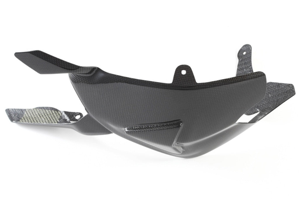 Schwingenabdeckung "GP" Carbon Fullsix Ducati Panigale 1299/S (15-18)