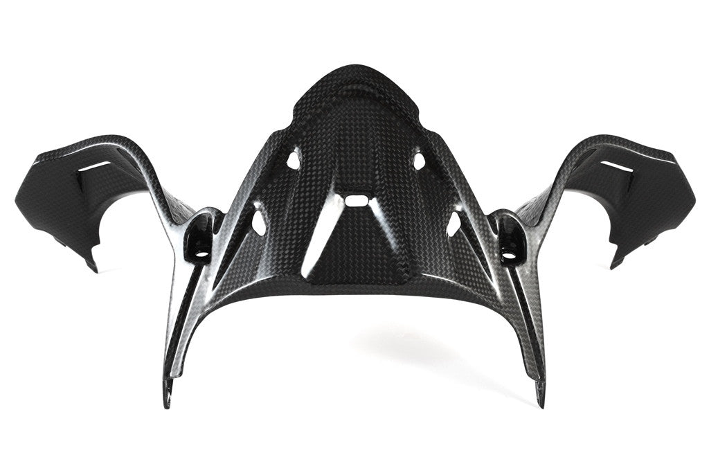Instrumentenabdeckung Carbon Fullsix Ducati Panigale 1199/R/S (12-17)