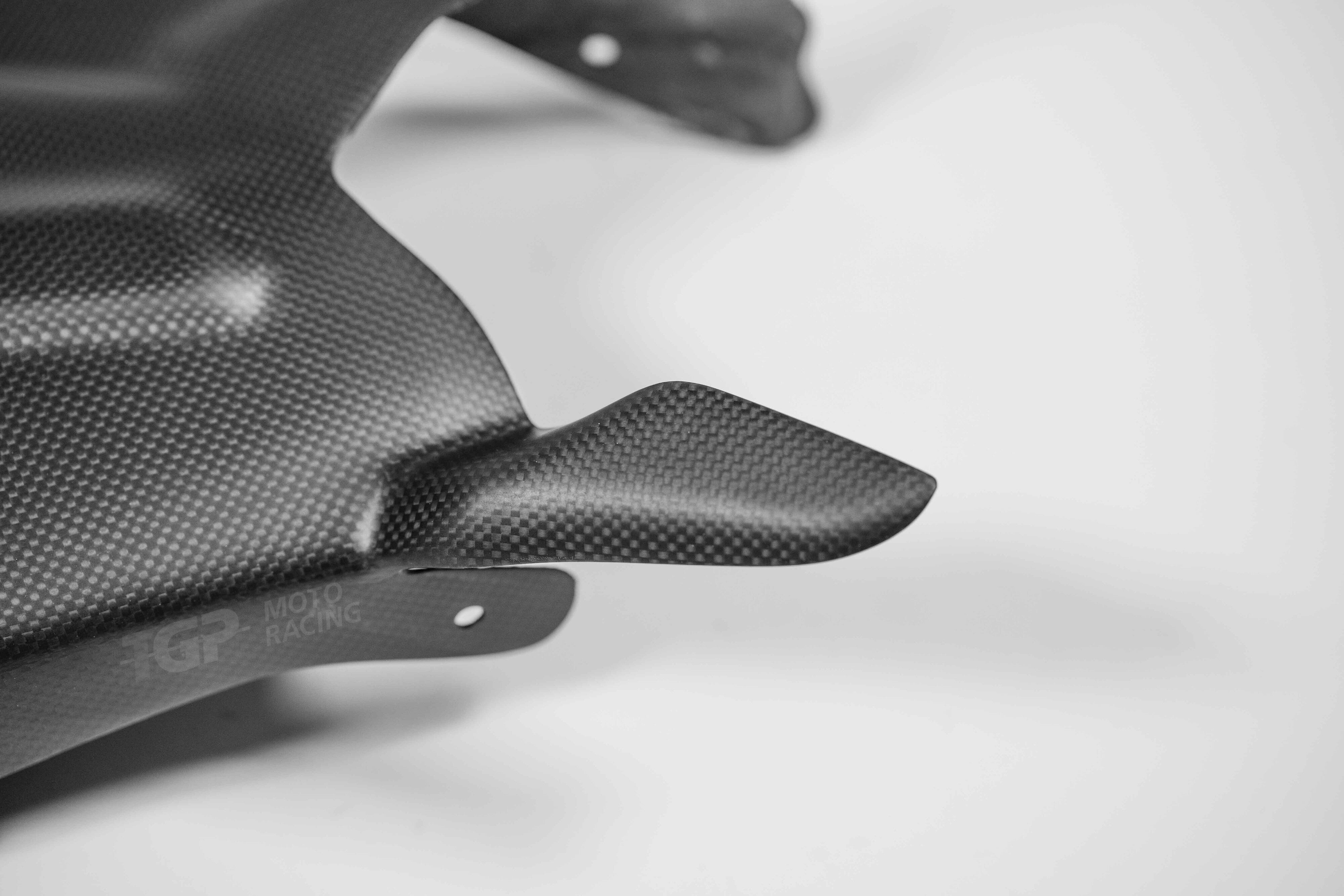 Schwingenabdeckung Carbon PlasticBike Ducati Panigale V2 955 (20-24)