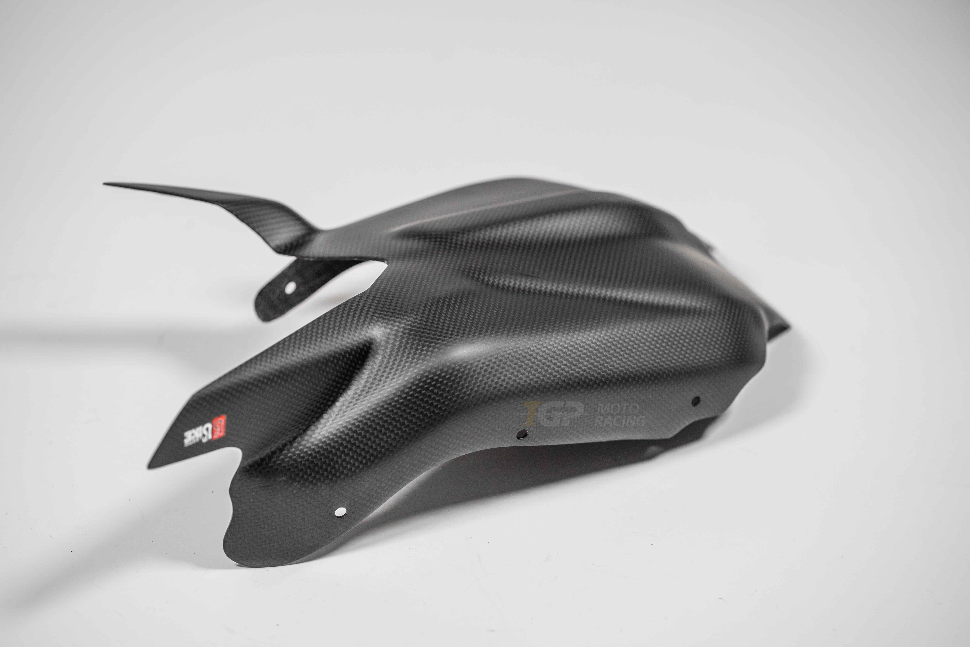 Schwingenabdeckung Carbon PlasticBike Ducati Panigale V2 955 (20-24)
