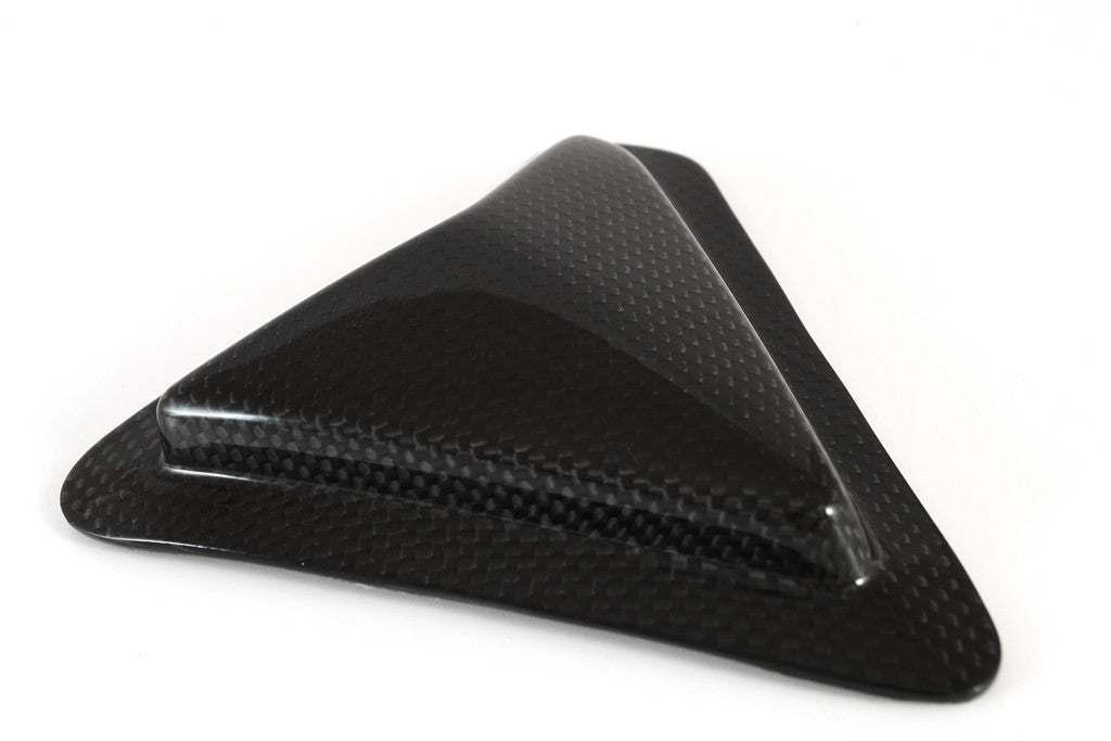 Slider Schwingenschutz Carbon Fullsix Ducati Panigale V2 955 (20-24)