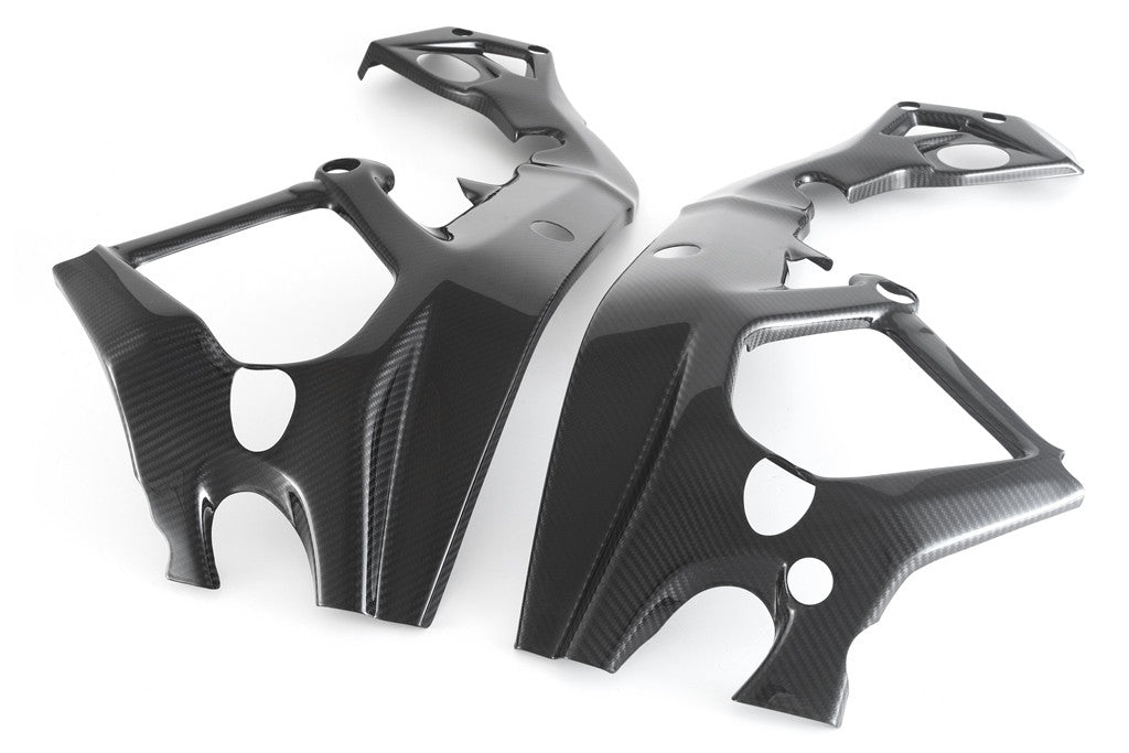 Rahmenabdeckung Carbon Fullsix BMW S1000RR K46 (15-18)