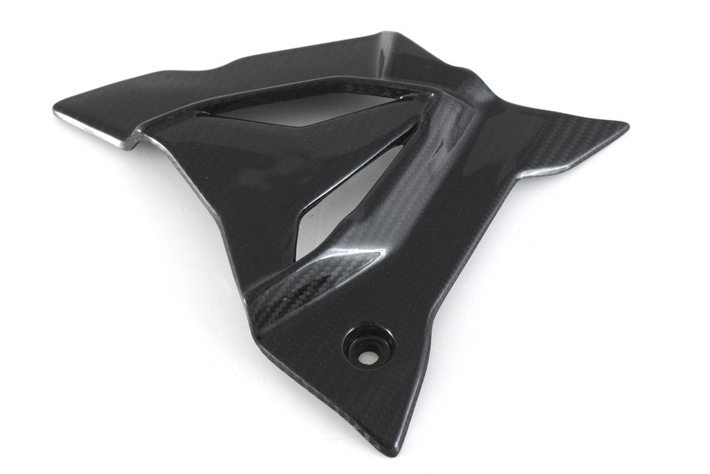 Ritzelabdeckung Carbon Fullsix BMW S1000RR K67 (19-26)