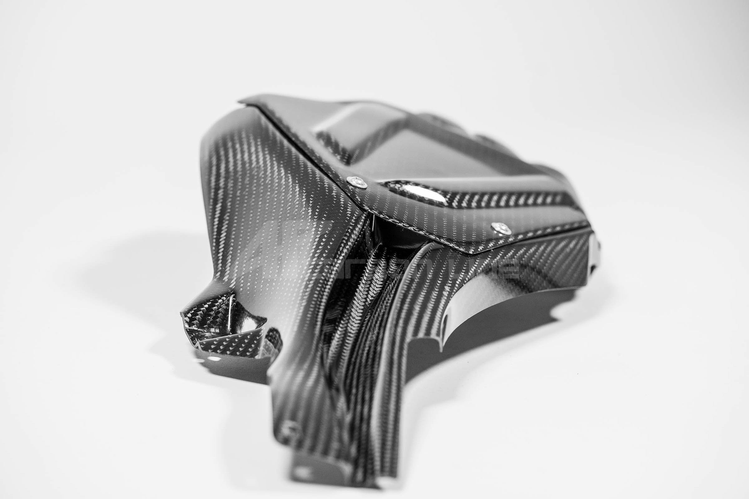 ECU Abdeckung inkl. Kühlkanal 200g AP Carbon Line Yamaha YZF-R1/M RN65 (20-26)