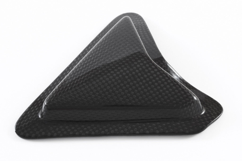 Slider Schwingenschutz Carbon Fullsix Ducati Panigale 1299/S (15-18)