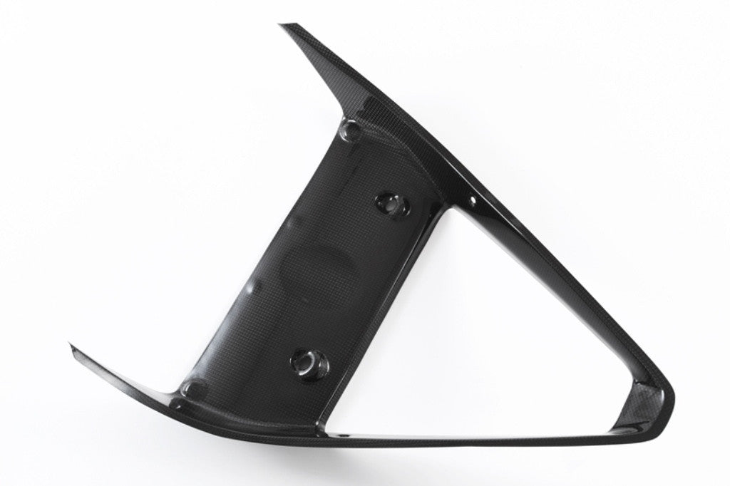 Kühlerverkleidung Carbon Fullsix Ducati Panigale 959 (16-19)