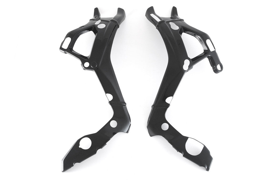 Rahmenabdeckung Carbon Fullsix BMW S1000RR K67 (19-26)