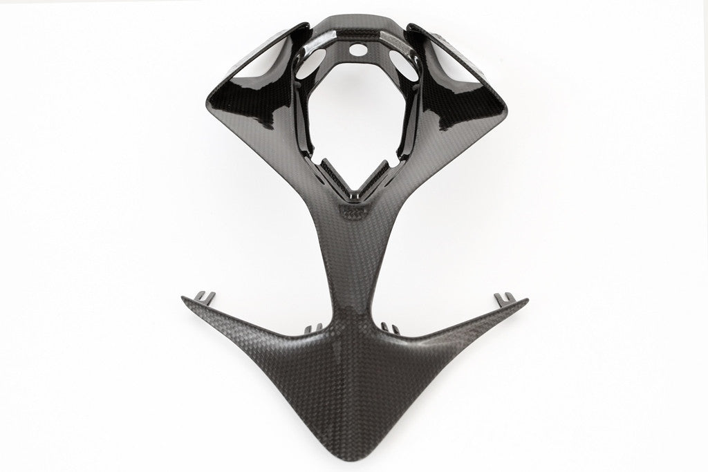 Heck Unterteil Carbon Fullsix Ducati Panigale 1199/R/S (12-17)