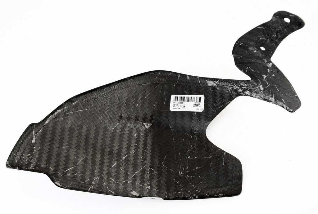 Schwingenabdeckung "SSP" Carbon Fullsix Ducati Panigale 1199/R/S (12-17)