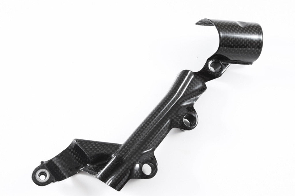 Bremszylinder Hinterrad Abdeckung Carbon Fullsix Ducati Panigale 1199/R/S (12-17)