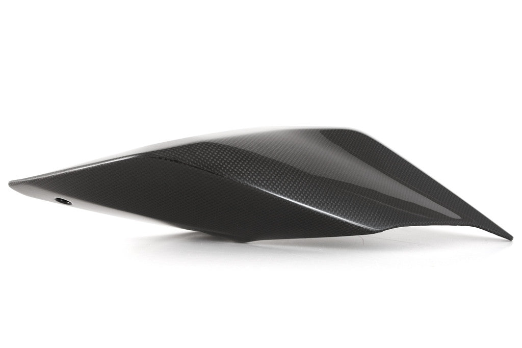 Heckverkleidung Carbon Fullsix Ducati Panigale V2 955 (20-24)