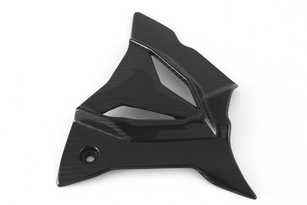 Ritzelabdeckung Carbon Fullsix BMW S1000RR K67 (19-26)