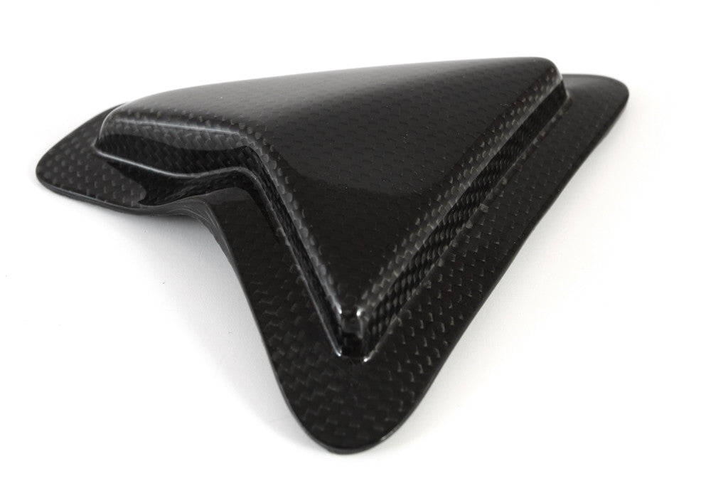 Slider Schwingenschutz Carbon Fullsix Ducati Panigale 1299/S (15-18)