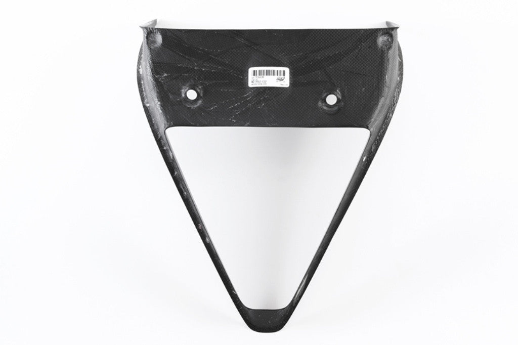 Kühlerverkleidung Carbon Fullsix Ducati Panigale 1199/R/S (12-17)