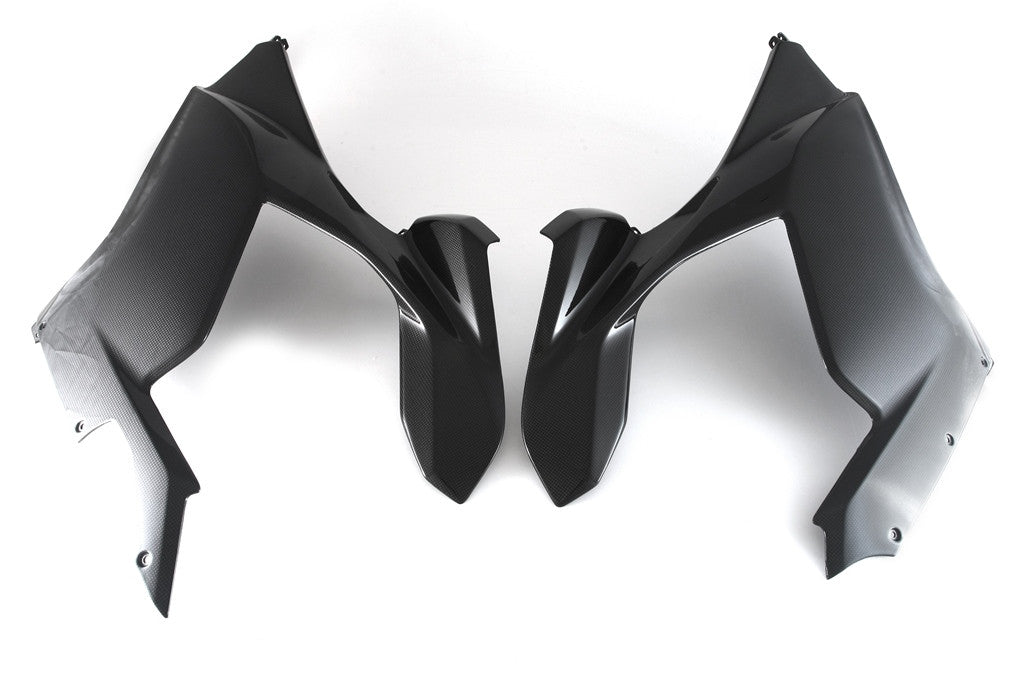 Seitenteile Set Carbon Fullsix Ducati Panigale V4/S (18-19)