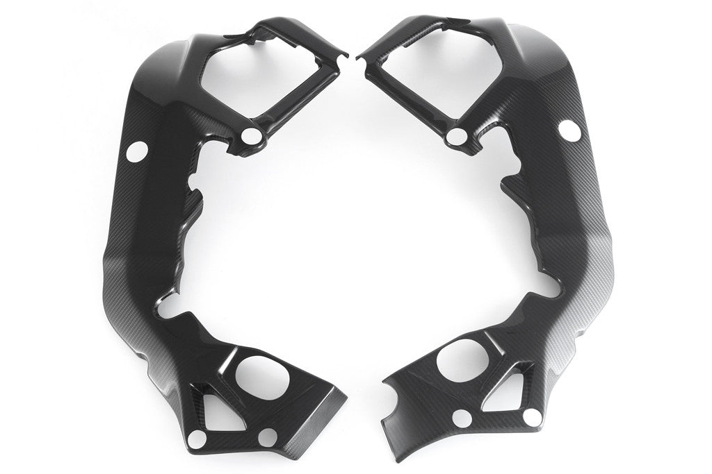 Rahmenabdeckung Carbon Fullsix BMW S1000RR K46 (15-18)